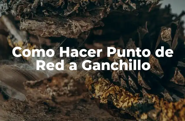 Como Hacer Punto de Red a Ganchillo