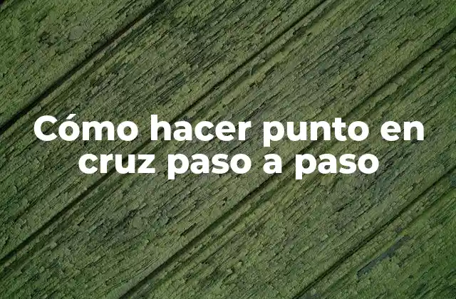 Cómo Hacer Punto en Cruz Paso a Paso