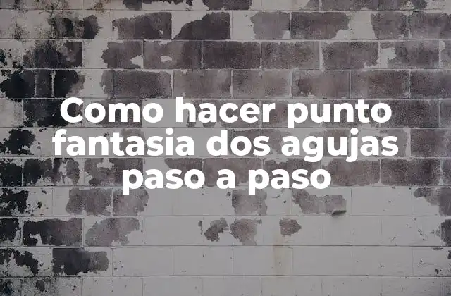 Como Hacer Punto Fantasia Dos Agujas Paso a Paso