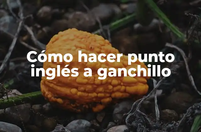 Cómo Hacer Punto Inglés a Ganchillo