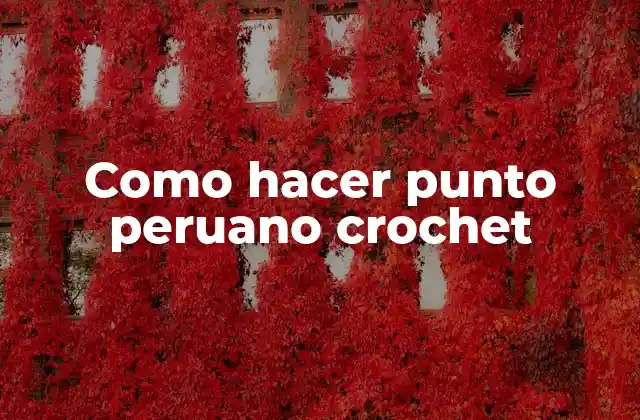 Como Hacer Punto Peruano Crochet
