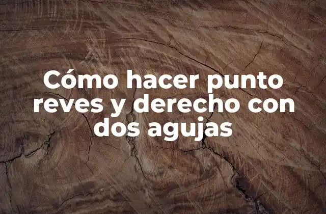 Cómo Hacer Punto Reves y Derecho con Dos Agujas