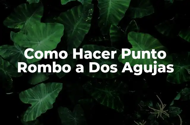 Como Hacer Punto Rombo a Dos Agujas 2 ¿Qué es el Punto Rombo a Dos Agujas?