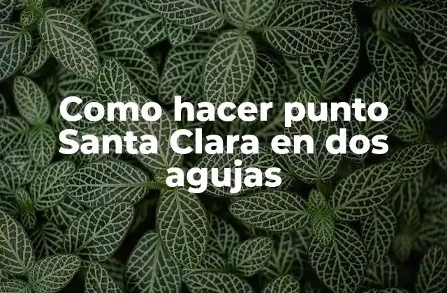 Que es el punto Santa Clara en dos agujas
