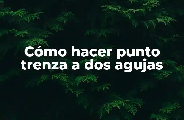 Cómo Hacer Punto Trenza a Dos Agujas