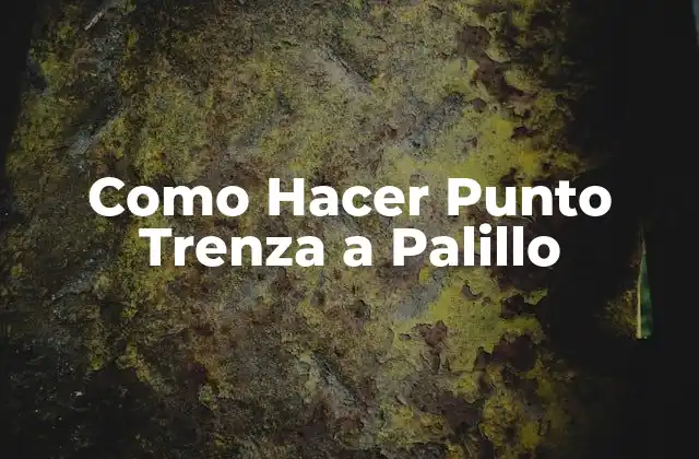 Como Hacer Punto Trenza a Palillo