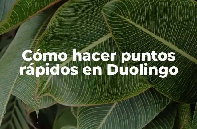 Cómo Hacer Puntos Rápidos en Duolingo