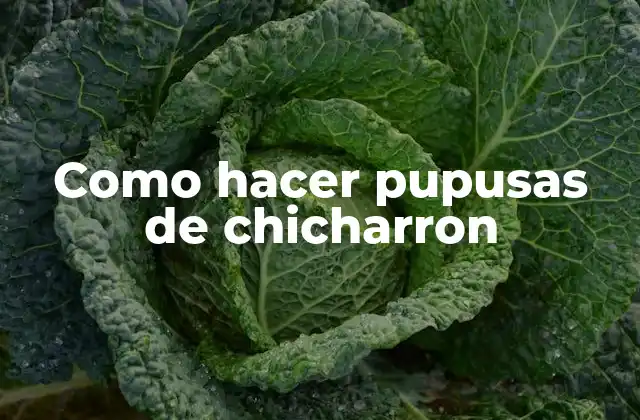 Como Hacer Pupusas de Chicharron 2 ¿Qué son las pupusas de chicharron?