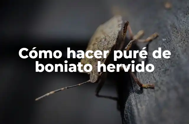 Cómo hacer puré de boniato hervido