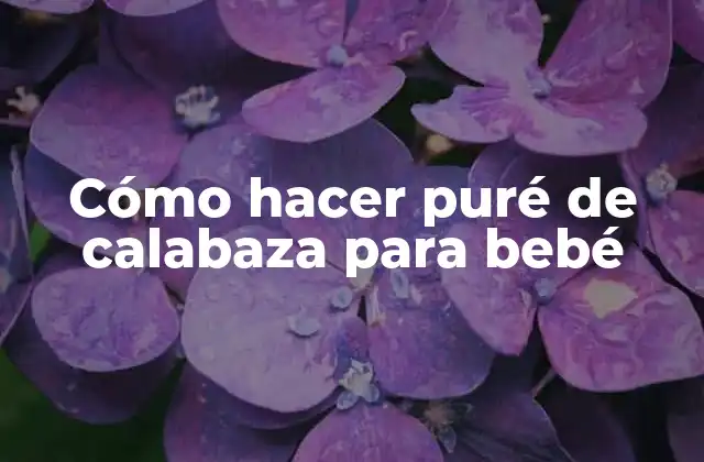 Cómo Hacer Puré de Calabaza para Bebé