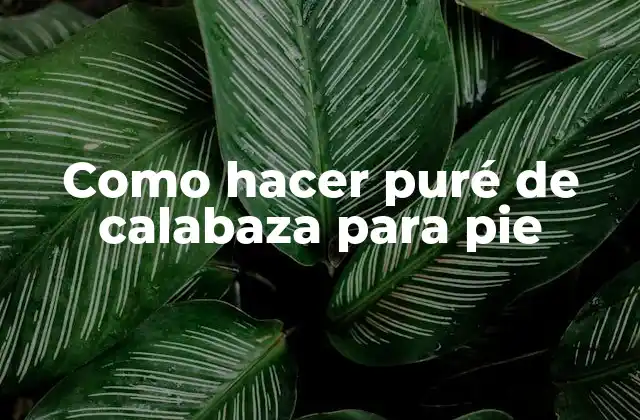Como Hacer Puré de Calabaza para Pie