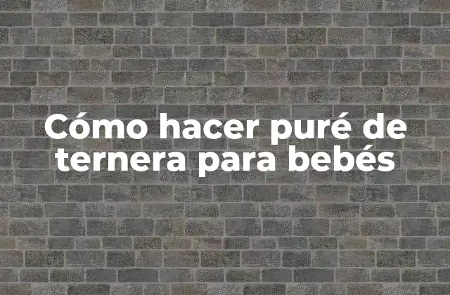 Cómo Hacer Puré de Ternera para Bebés