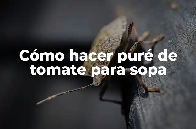 Cómo Hacer Puré de Tomate para Sopa