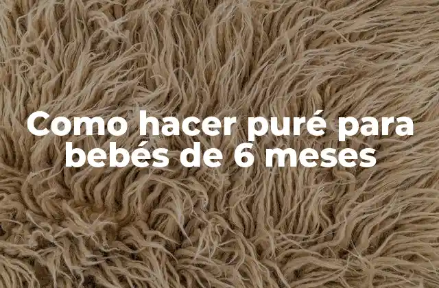 Como Hacer Puré para Bebés de 6 Meses