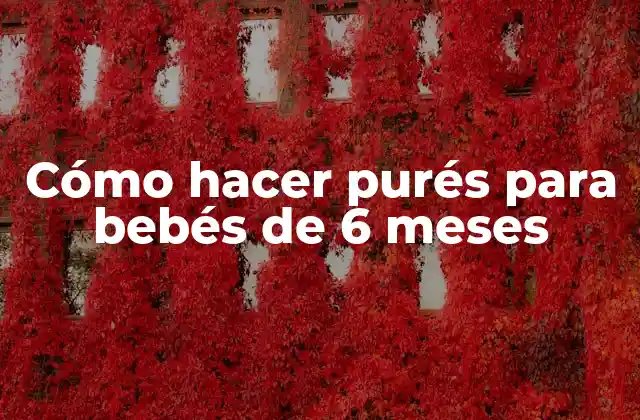 Cómo Hacer Purés para Bebés de 6 Meses
