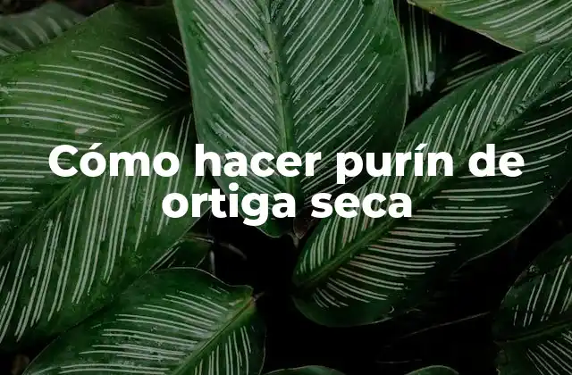 Cómo Hacer Purín de Ortiga Seca