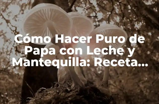 Cómo Hacer Puro de Papa con Leche y Mantequilla: Receta Fácil y Deliciosa