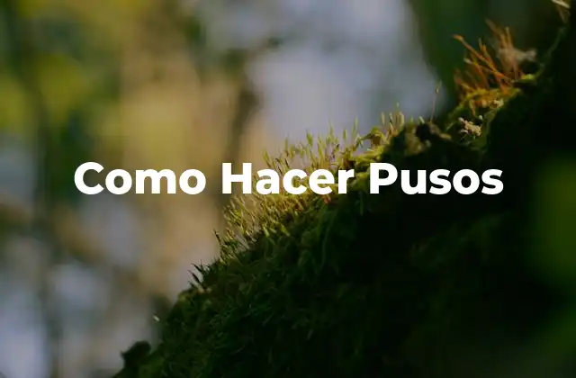 Como Hacer Pusos