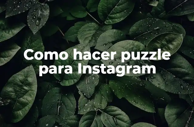 Como Hacer Puzzle para Instagram