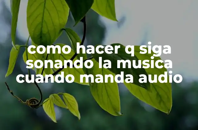 Como Hacer Q Siga Sonando la Musica Cuando Manda Audio
