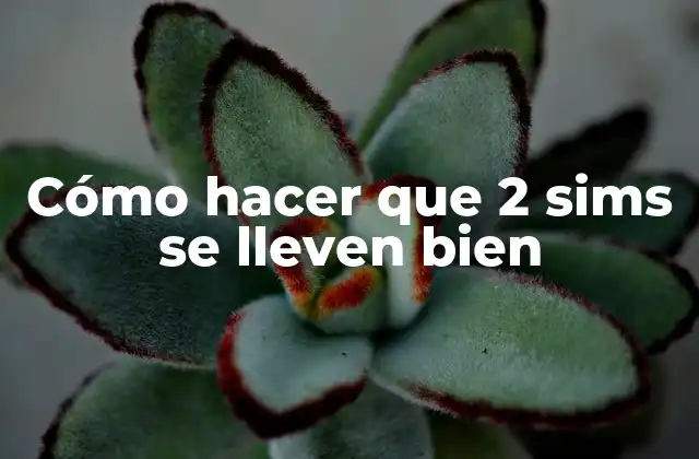 Cómo Hacer que 2 Sims Se Lleven Bien 2 Cómo hacer que 2 sims se lleven bien