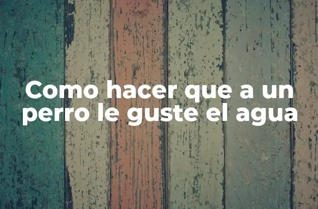 Como Hacer que a un Perro Le Guste el Agua