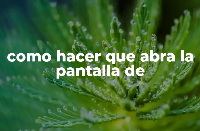 Como Hacer que Abra la Pantalla de