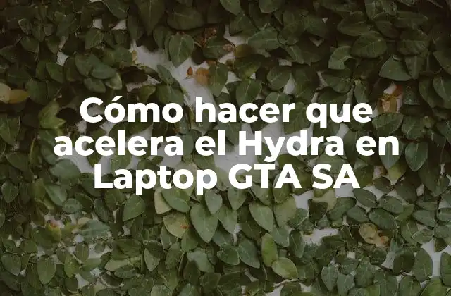 Cómo Hacer que Acelera el Hydra en Laptop Gta Sa
