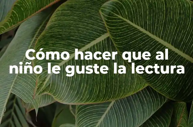 Cómo Hacer que Al Niño Le Guste la Lectura