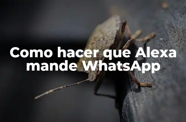 Como Hacer que Alexa Mande Whatsapp