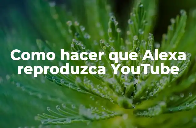 Como Hacer que Alexa Reproduzca Youtube
