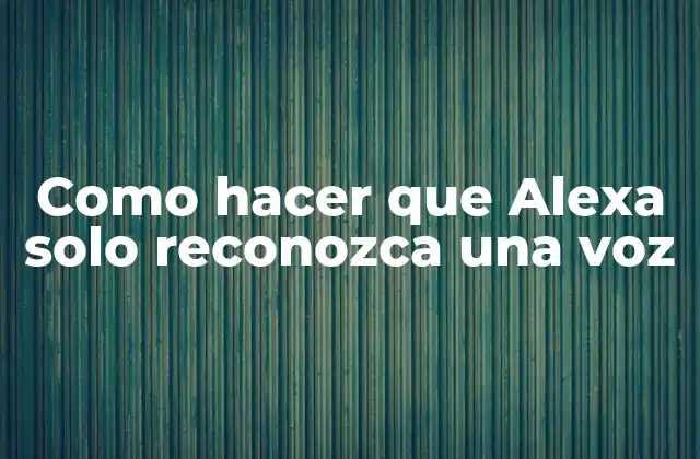 Como Hacer que Alexa Solo Reconozca una Voz 2 ¿Qué es el reconocimiento de voz en Alexa y cómo se usa?