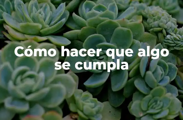 Cómo Hacer que Algo Se Cumpla