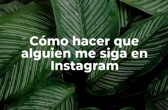 Cómo hacer que alguien me siga en Instagram
