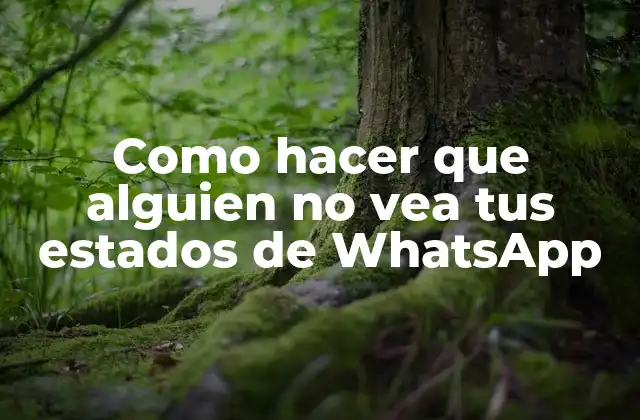 Como Hacer que Alguien No Vea Tus Estados de Whatsapp