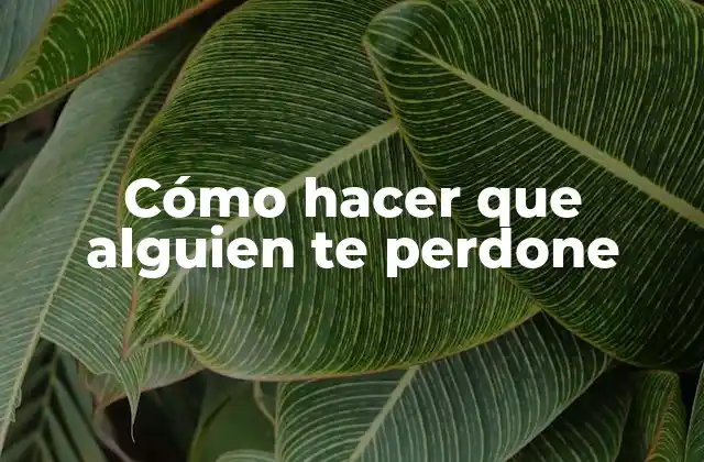 Cómo Hacer que Alguien Te Perdone 2 Cómo hacer que alguien te perdone