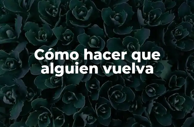 Cómo Hacer que Alguien Vuelva