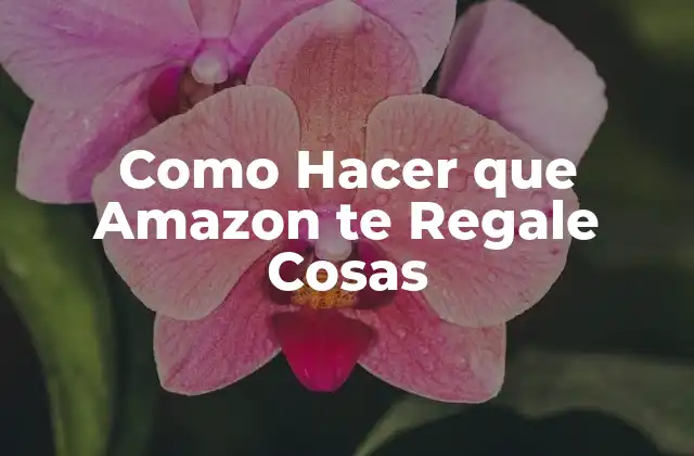 Como Hacer que Amazon Te Regale Cosas 2 ¿Cómo Funciona el Programa de Regalos de Amazon?