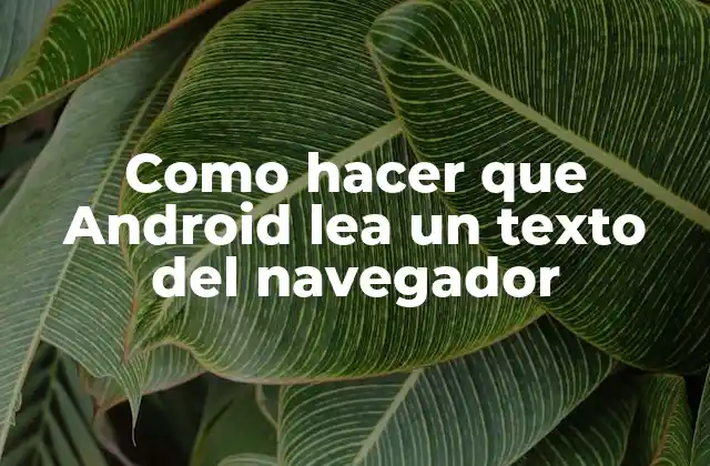 Como Hacer que Android Lea un Texto Del Navegador