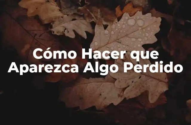 Cómo Hacer que Aparezca Algo Perdido