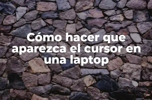 Cómo Hacer que Aparezca el Cursor en una Laptop