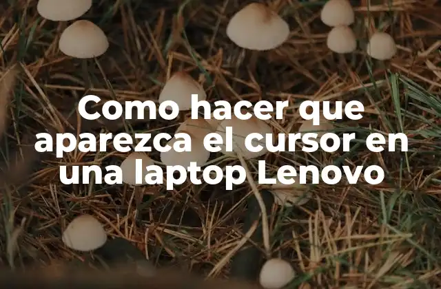Como Hacer que Aparezca el Cursor en una Laptop Lenovo 2 Como hacer que aparezca el cursor en una laptop Lenovo