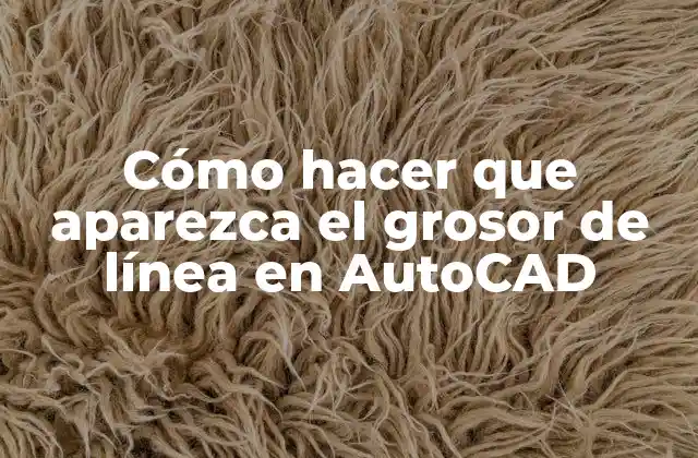 Cómo Hacer que Aparezca el Grosor de Línea en Autocad