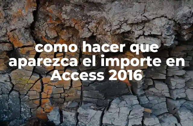 Como Hacer que Aparezca el Importe en Access 2016