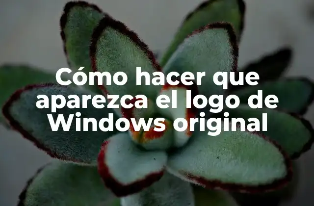 Cómo Hacer que Aparezca el Logo de Windows Original