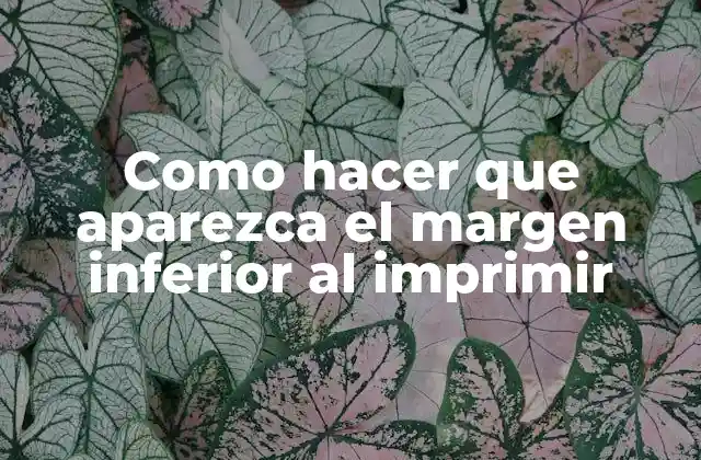 Como Hacer que Aparezca el Margen Inferior Al Imprimir