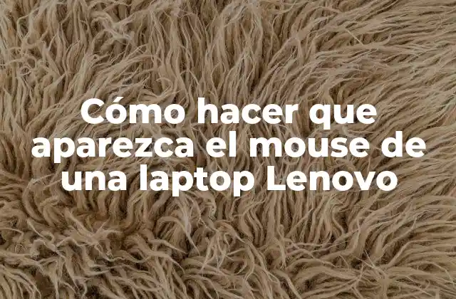 Cómo Hacer que Aparezca el Mouse de una Laptop Lenovo 2 ¿Qué es el mouse de una laptop Lenovo?