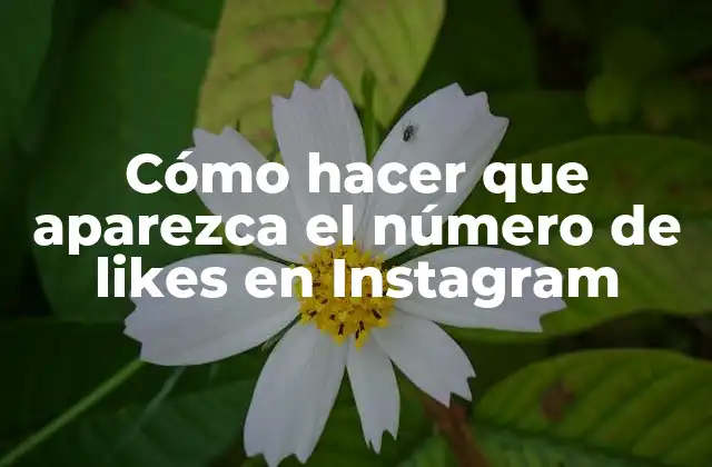 Cómo Hacer que Aparezca el Número de Likes en Instagram