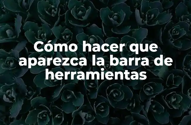 Cómo Hacer que Aparezca la Barra de Herramientas