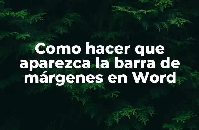 La barra de márgenes en Word